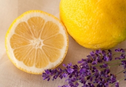 스위스향 프래그런스오일 - 레몬 라벤더