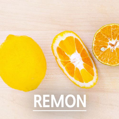 [TechnicoFlor 에센셜오일]레몬 (Lemon)