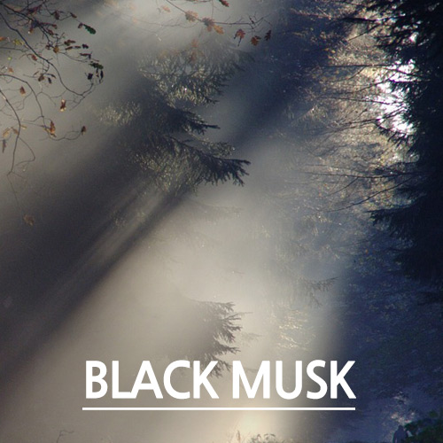 [TechnicoFlor 프랑스] 블랙머스크 (Black Musk)