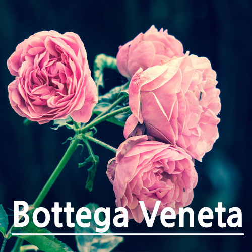 [TechnicoFlor 프랑스] 보테가 베네타 (Bottega_Veneta)
