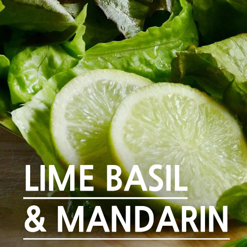 [국내향 ] 라임 바질 &amp; 만다린 - Lime Basil &amp; Mandarin
